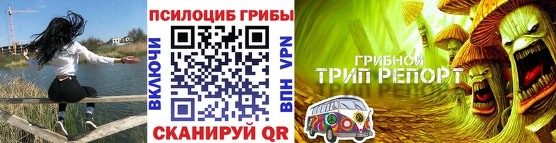 Галлюциногенные грибы GOLDEN TEACHER  купить  цена  Качканар 